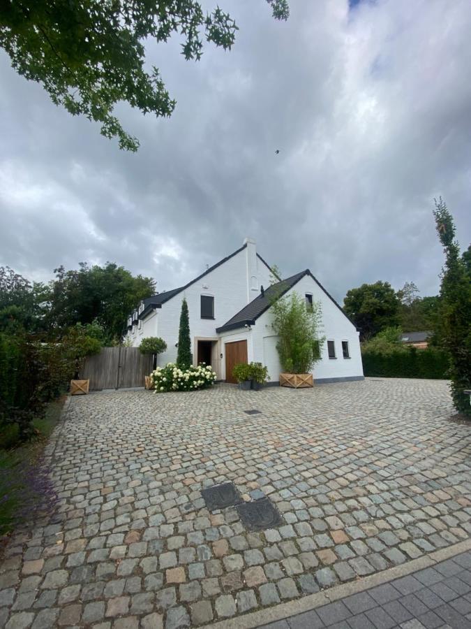 Nummer 151 Villastudios Hasselt Kültér fotó