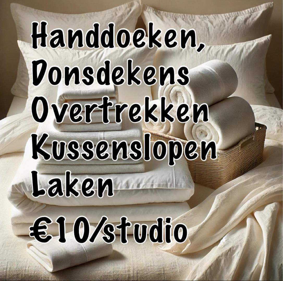 Nummer 151 Villastudios Hasselt Kültér fotó