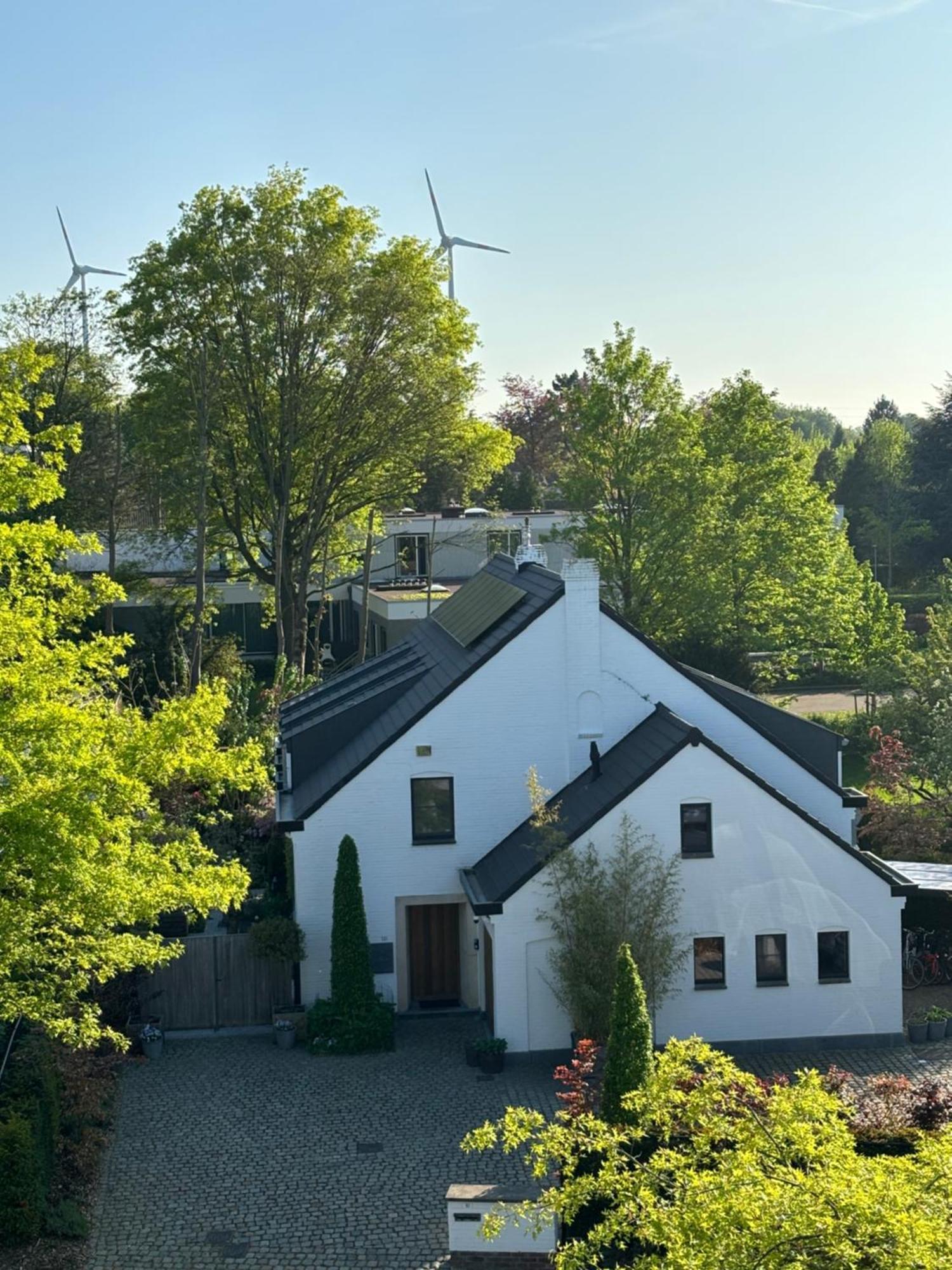 Nummer 151 Villastudios Hasselt Kültér fotó